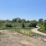 къща стария елен بيت للعطل *