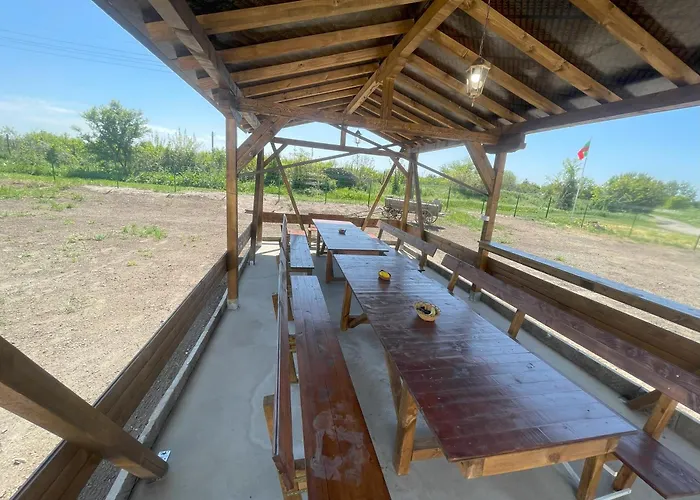 Case de vacanță къща стария елен Krivini